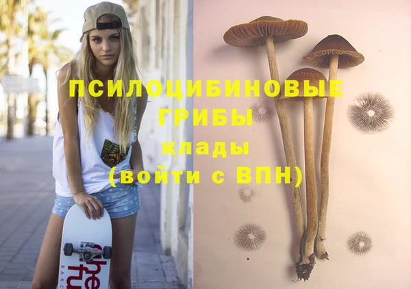 трава Горно-Алтайск