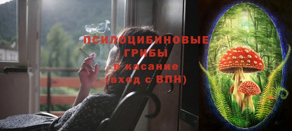 трава Горно-Алтайск