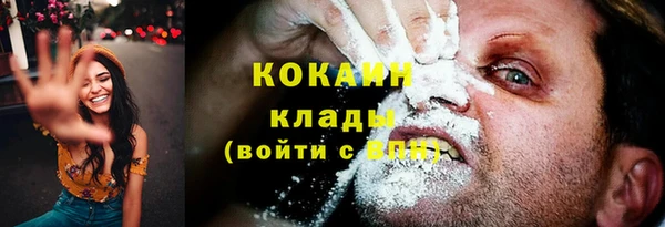 трава Горно-Алтайск